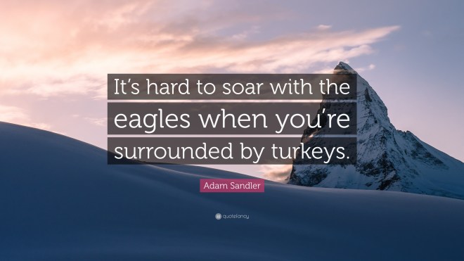 2275144-Adam-Sandler-Quote-It-s-hard-to-soar-with-the-eagles-when-you-re