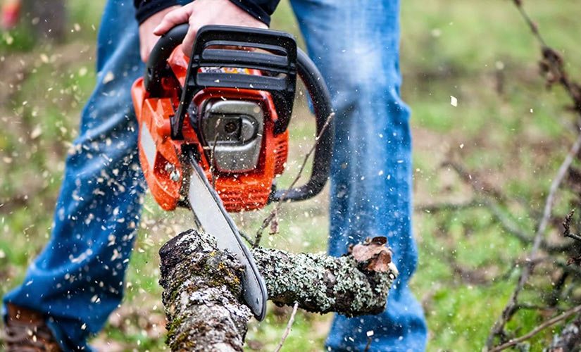 Can a chainsaw start a&nbsp;revolution?