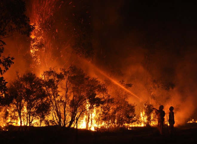 CessnockBushFire2013.jpg